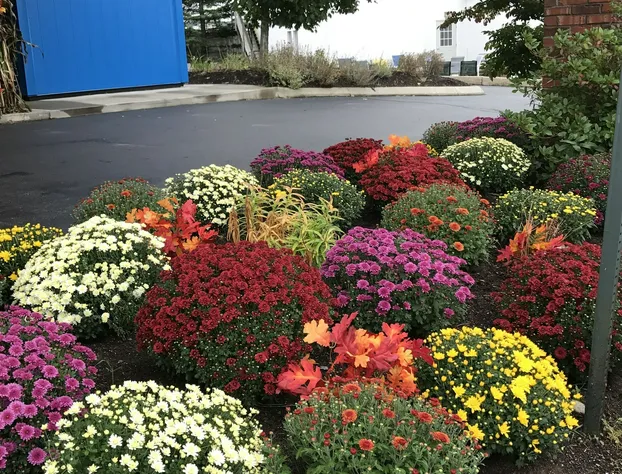 Comfort Inn Ellsworth - Bar Harbor hotel detail image 1