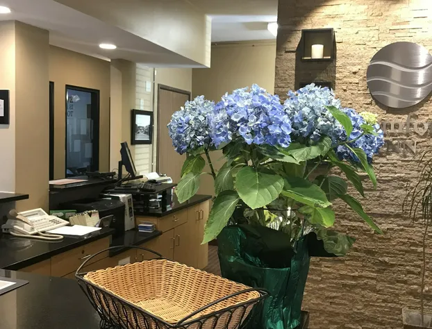 Comfort Inn Ellsworth - Bar Harbor hotel detail image 3