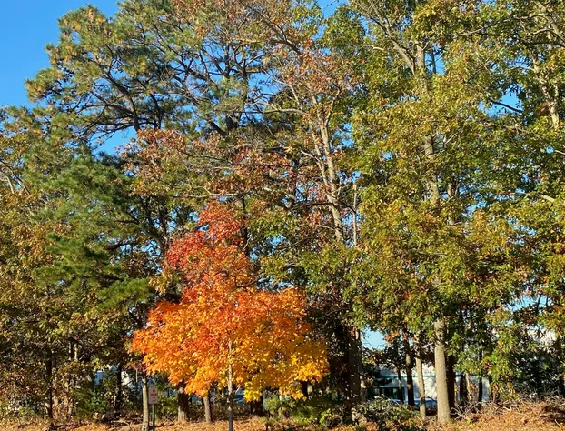 Clarion Hotel & Conference Center hotel detail image 3