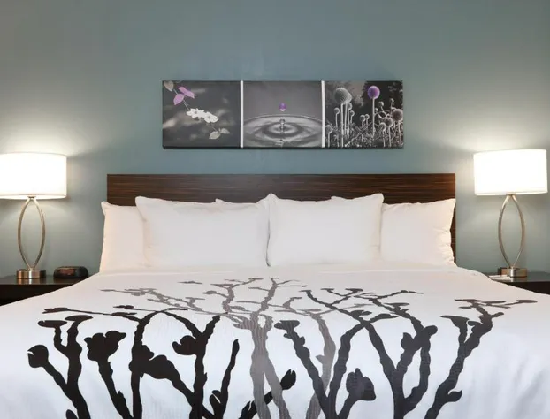 Days Inn by Wyndham McDonough hotel detail image 4