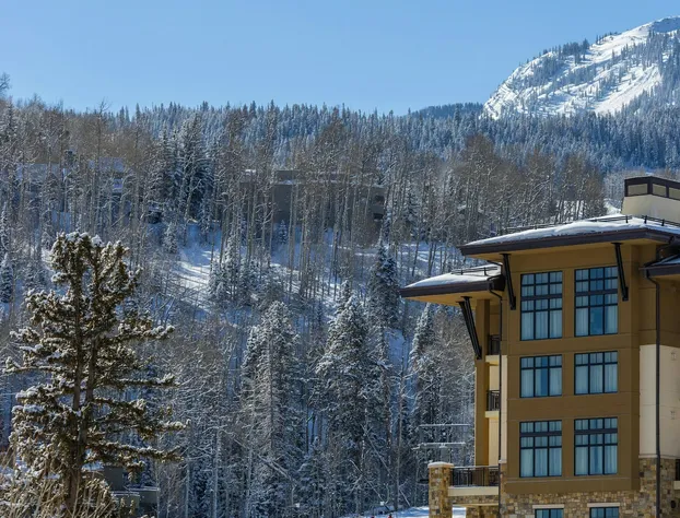 Viceroy Snowmass hotel detail image 1