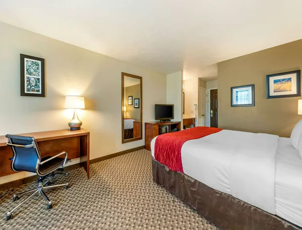 Comfort Inn & Suites Lancaster Antelope Valley hotel detail image 4