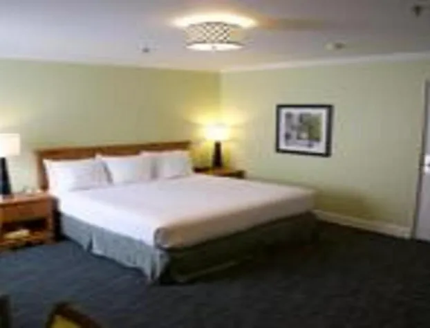 The University Inn at Emory hotel detail image 4