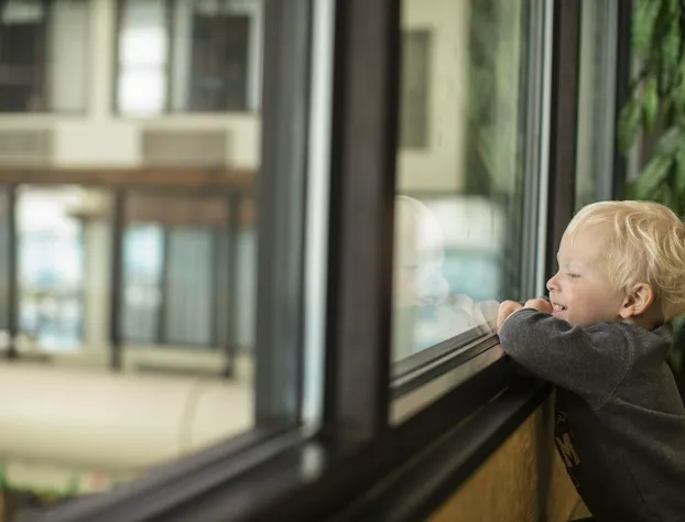 Edgewater Hotel & Waterpark hotel detail image 2