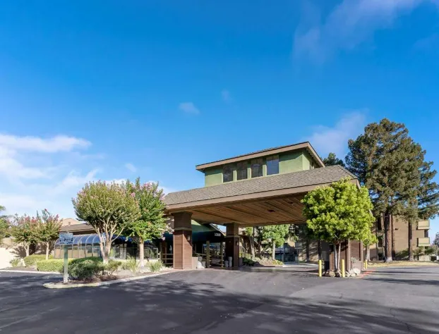 Best Western Plus Forest Park Inn hotel detail image 1