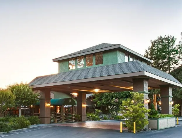 Best Western Plus Forest Park Inn hotel detail image 1