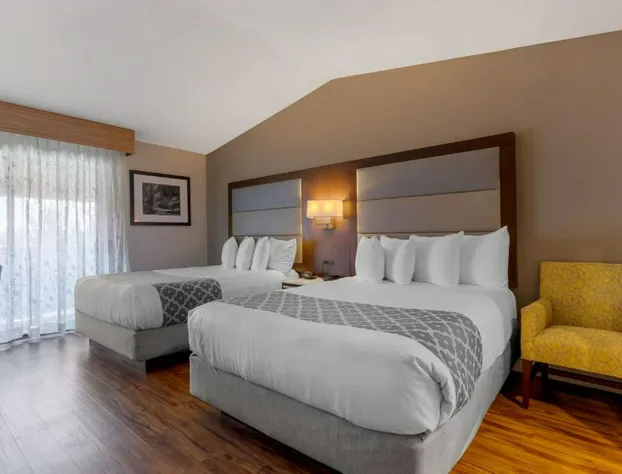 Best Western Plus Forest Park Inn hotel detail image 3