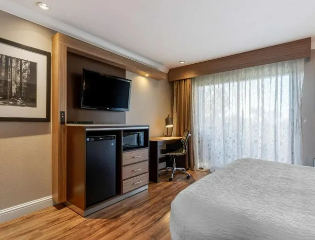 Best Western Plus Forest Park Inn hotel detail image 4