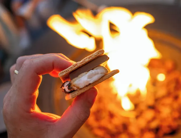 Meliá Orlando Celebration hotel detail image 4