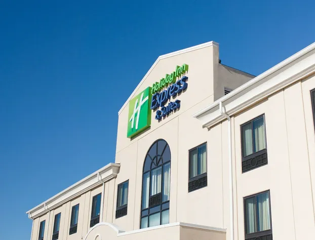 Holiday Inn Express & Suites Morton - Peoria Area by IHG hotel detail image 2