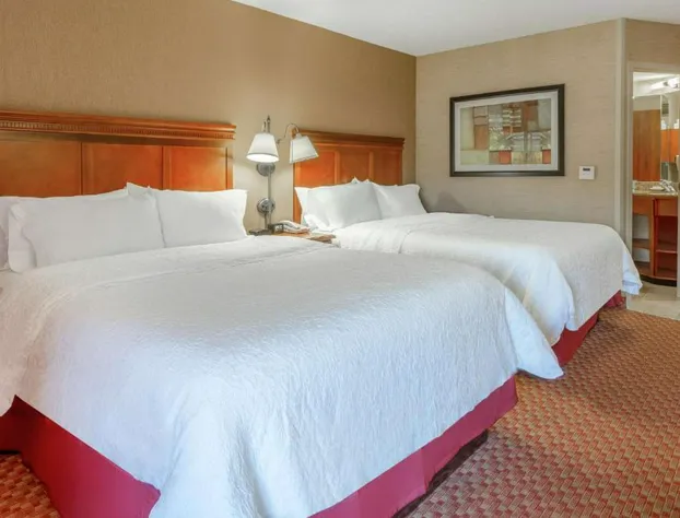 Hampton Inn Peoria-East At The River Boat Crossing hotel detail image 4