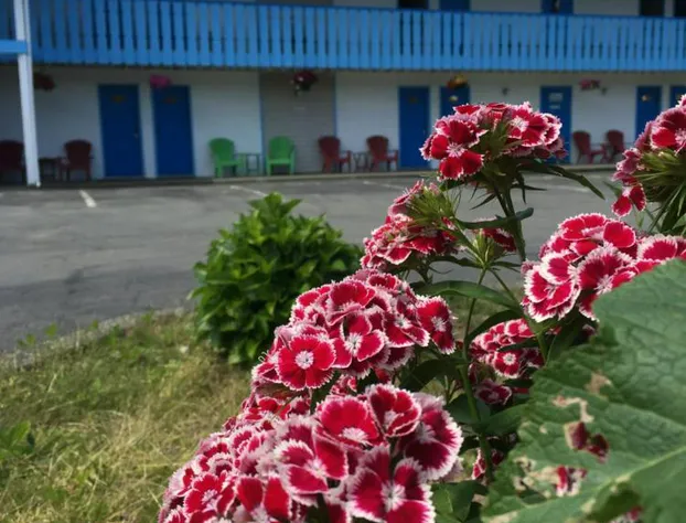 Fuller Lake Motel hotel detail image 2