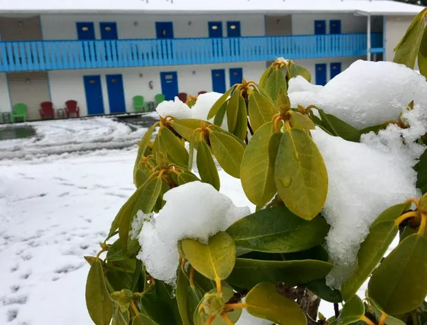 Fuller Lake Motel hotel detail image 4