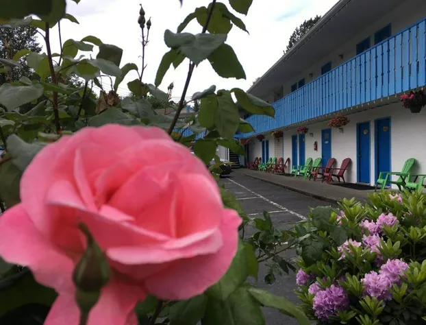 Fuller Lake Motel hotel detail image 1