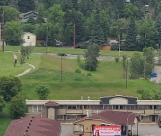 Canadas Best Value Inn Calgary Chinook Station hotel detail image 3