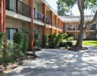 Piccadilly Inn Airport hotel detail image 3