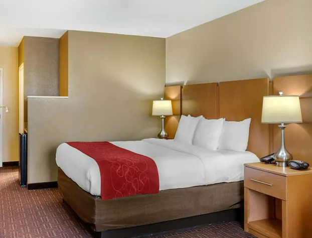 Comfort Suites Hanes Mall hotel detail image 1