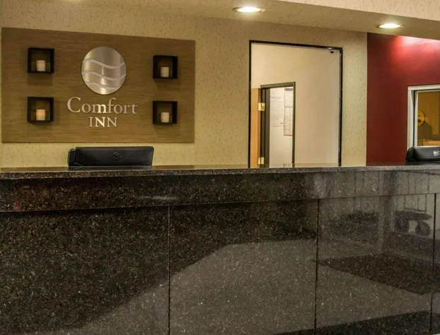 Comfort Inn Birch Run - Frankenmuth hotel detail image 2