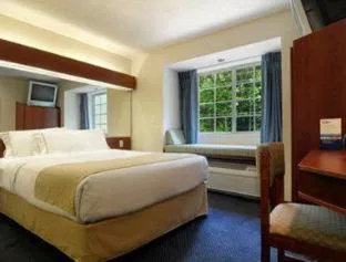 Microtel Inn & Suites by Wyndham Bremen hotel detail image 4