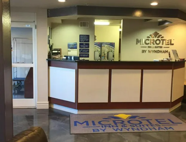 Microtel Inn & Suites by Wyndham Bremen hotel detail image 1