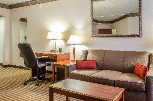 Comfort Suites State College near Penn State hotel detail image 2