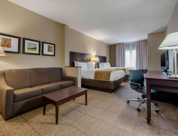 Comfort Suites Lafayette University Area hotel detail image 4