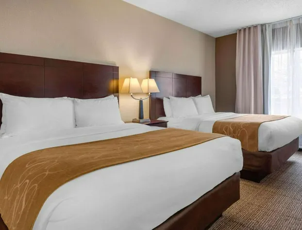Comfort Suites Lafayette University Area hotel detail image 1