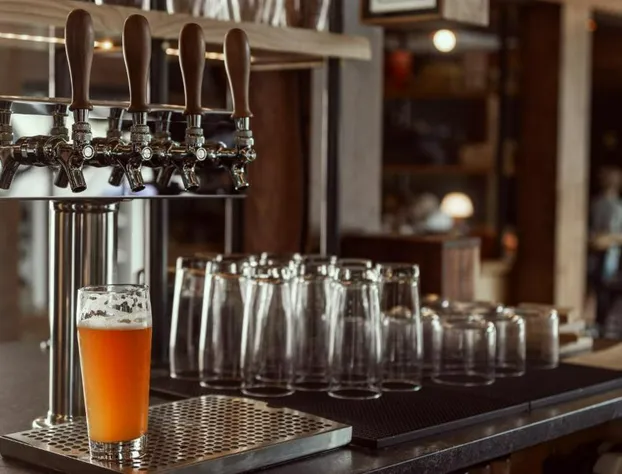 The Ozarker Lodge hotel detail image 2