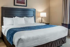 Comfort Suites South Bend near Casino hotel detail image 1