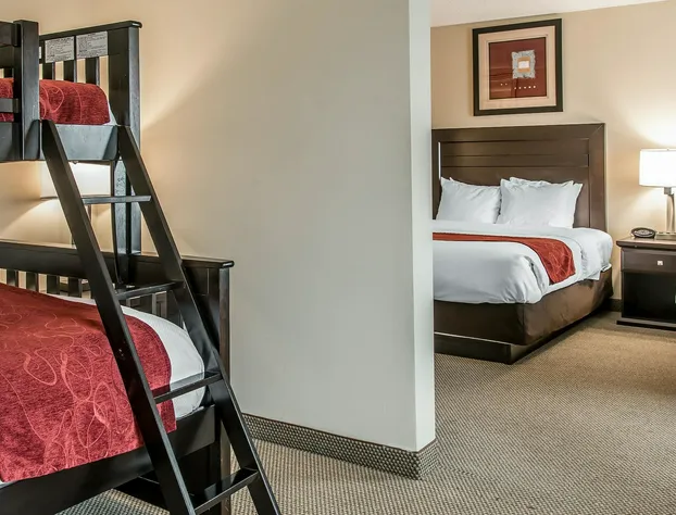 Comfort Suites South Bend near Casino hotel detail image 3