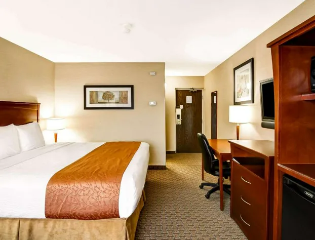 Quality Inn hotel detail image 3