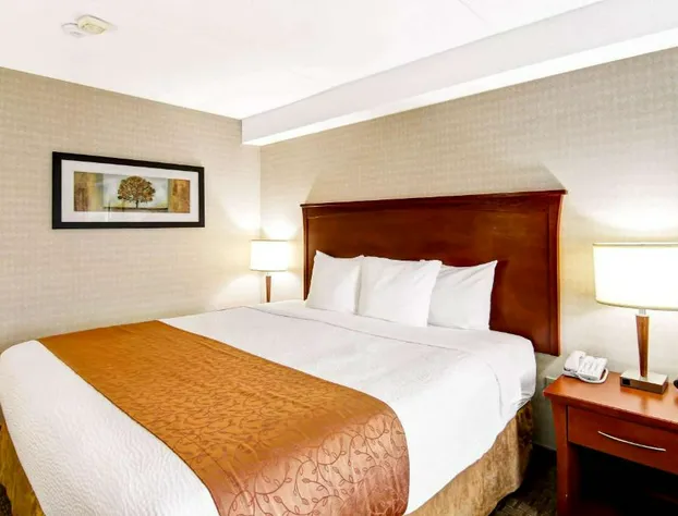 Quality Inn hotel detail image 4