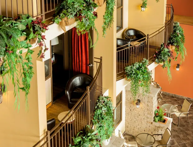 Ambassadeur Hotel hotel detail image 3