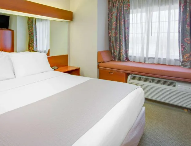 Microtel Inn & Suites by Wyndham Hattiesburg hotel detail image 4