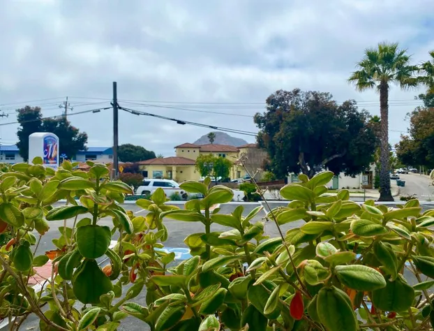 Masterpiece Hotel hotel detail image 2