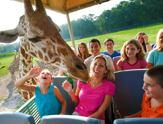 Radisson Hotel Freehold hotel detail image 4