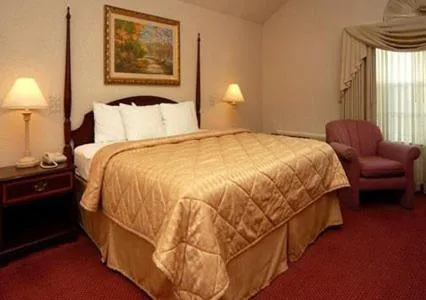 Comfort Inn Plainwell hotel detail image 2