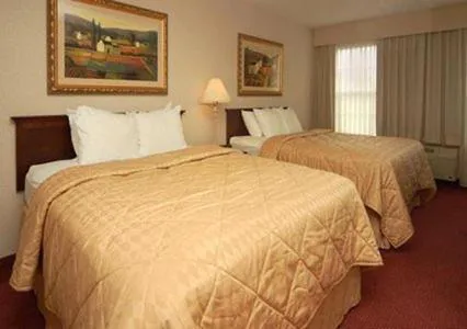 Comfort Inn Plainwell hotel detail image 3