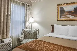 Comfort Inn Plainwell hotel detail image 4