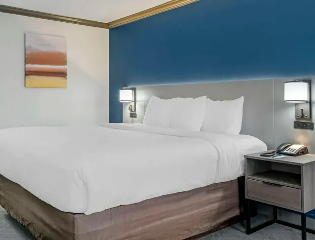 Comfort Inn Plainwell hotel detail image 2