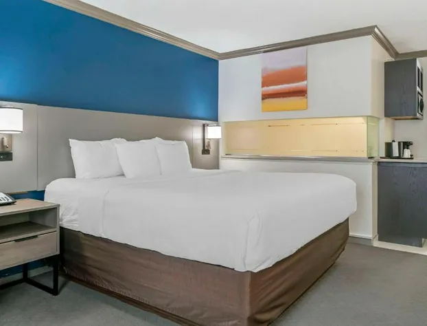 Comfort Inn Plainwell hotel detail image 4