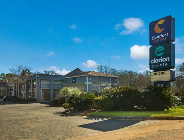 Clarion Pointe Forsyth I-75 hotel detail image 2