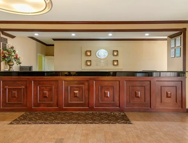 Comfort Suites Montgomery East Monticello Dr. hotel detail image 2