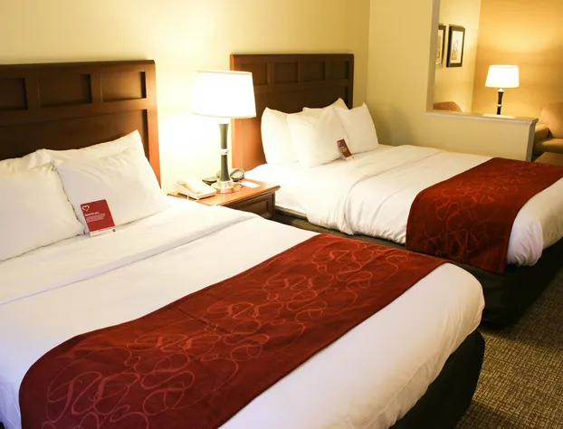 Comfort Suites Montgomery East Monticello Dr. hotel detail image 4