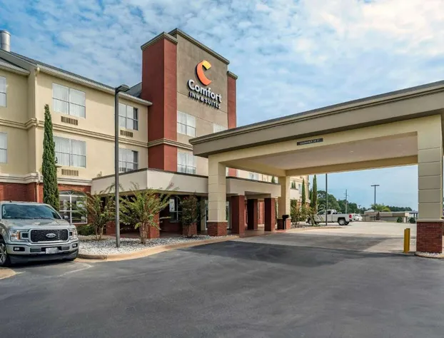 Comfort Inn & Suites Millbrook - Prattville hotel detail image 2
