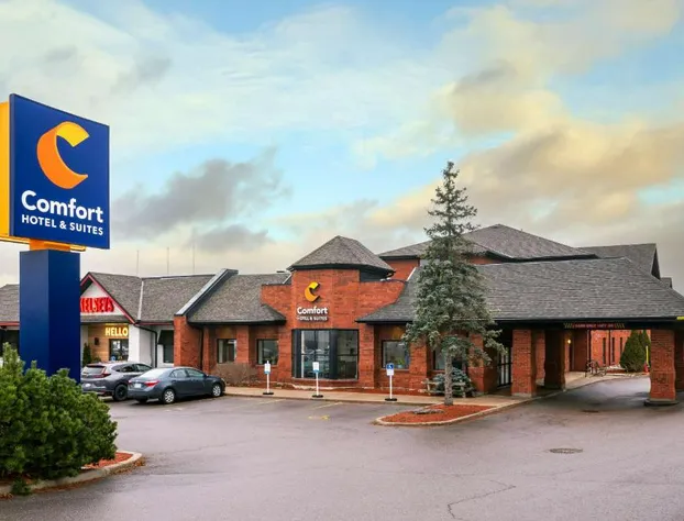 Comfort Hotel & Suites hotel detail image 1