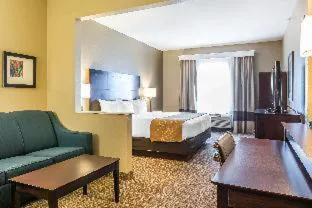 Comfort Suites Fort Wayne North hotel detail image 2