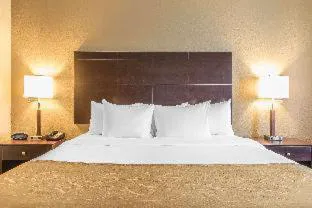 Comfort Suites Fort Wayne North hotel detail image 3