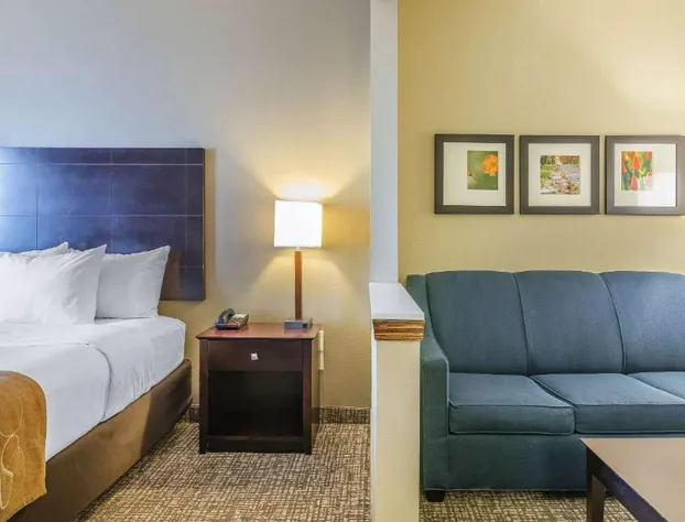 Comfort Suites Fort Wayne North hotel detail image 4