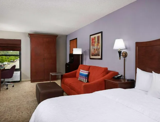 Hampton Inn Clemson-University Area hotel detail image 4